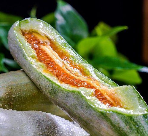 网红的瓜在线吃,跟随“瓜”的脚步，在线品尝娱乐圈新鲜事