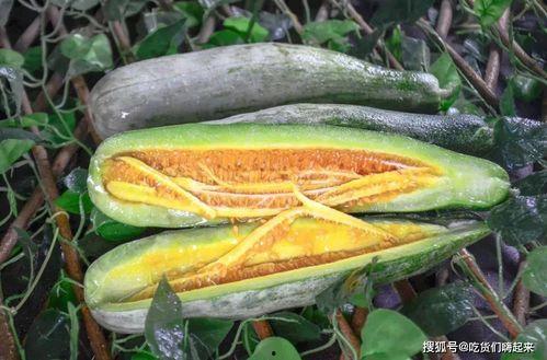 网红王璐茜吃瓜合集,吃瓜合集，揭秘娱乐圈幕后故事