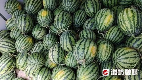 潍坊网红吃瓜群微信,揭秘网络社交圈的趣味与热议