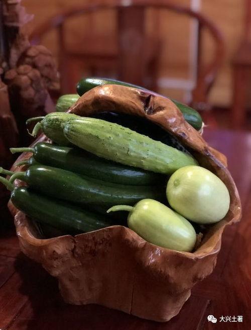 最新的网红吃瓜视频下载,揭秘娱乐圈最新热点事件幕后真相