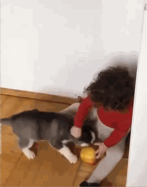 小狗特效网图女孩吃瓜,女孩与小狗的甜蜜互动瞬间